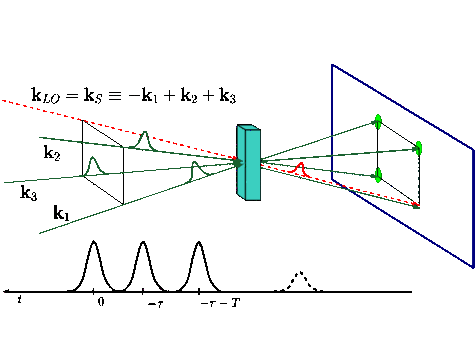 Nonlinear Spectroscopy