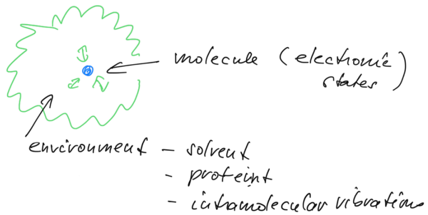 Open Quantum Systems