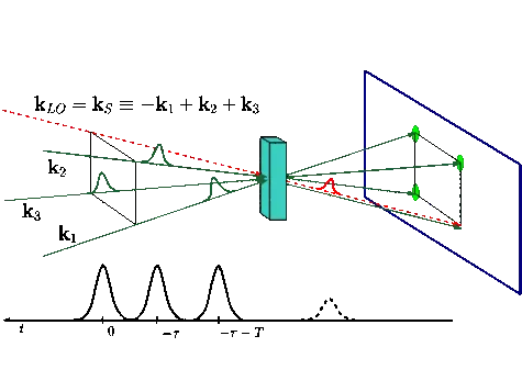Nonlinear Spectroscopy
