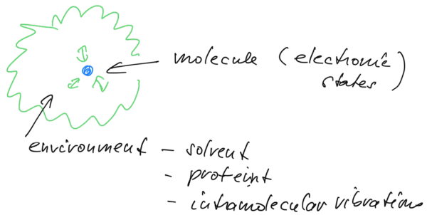 Open Quantum Systems